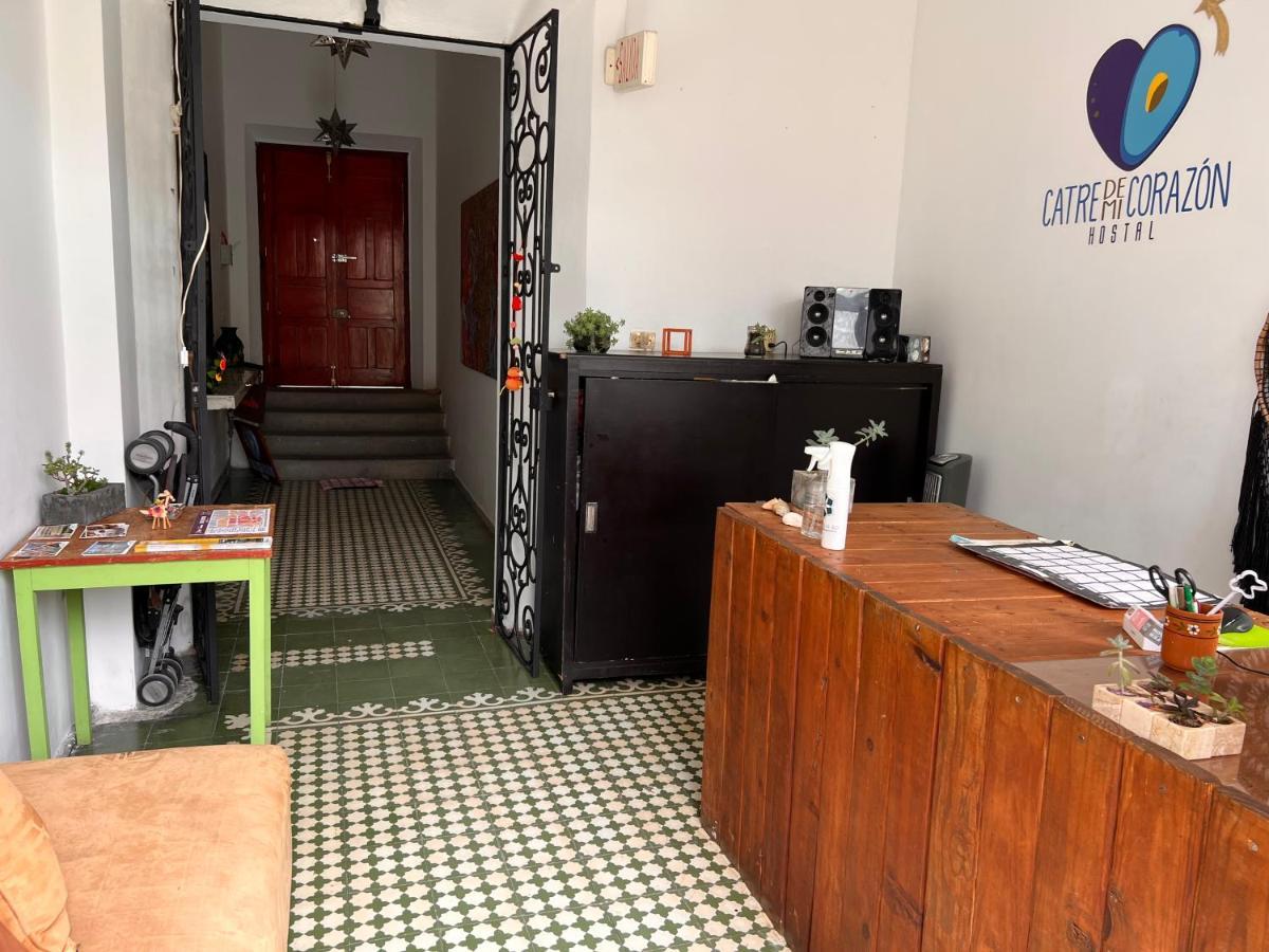 Catre De Mi Corazon Vandrehjem Xalapa Eksteriør billede